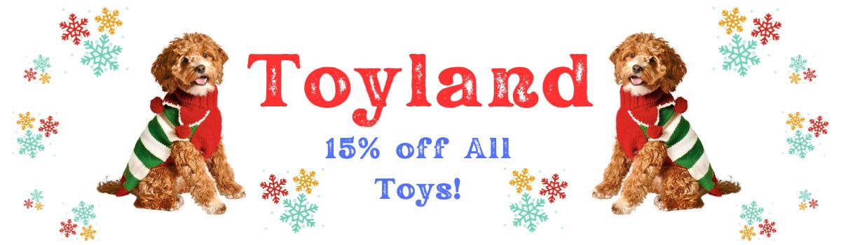 Toyland banner 2023