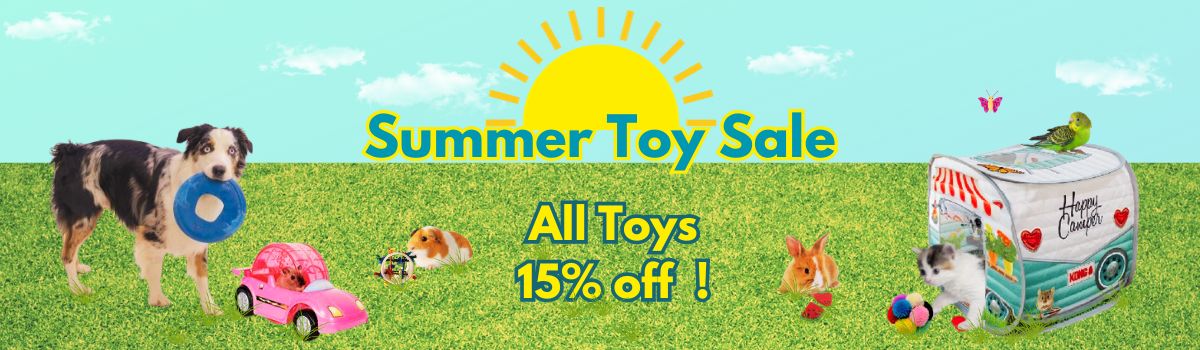 2024 Summer Toy Sale