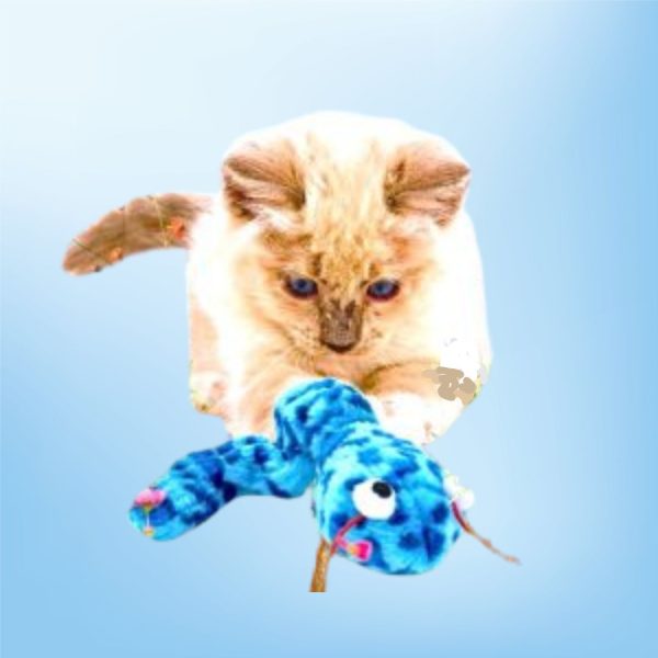 Coastal Pet Turbo Creature Cat Toy