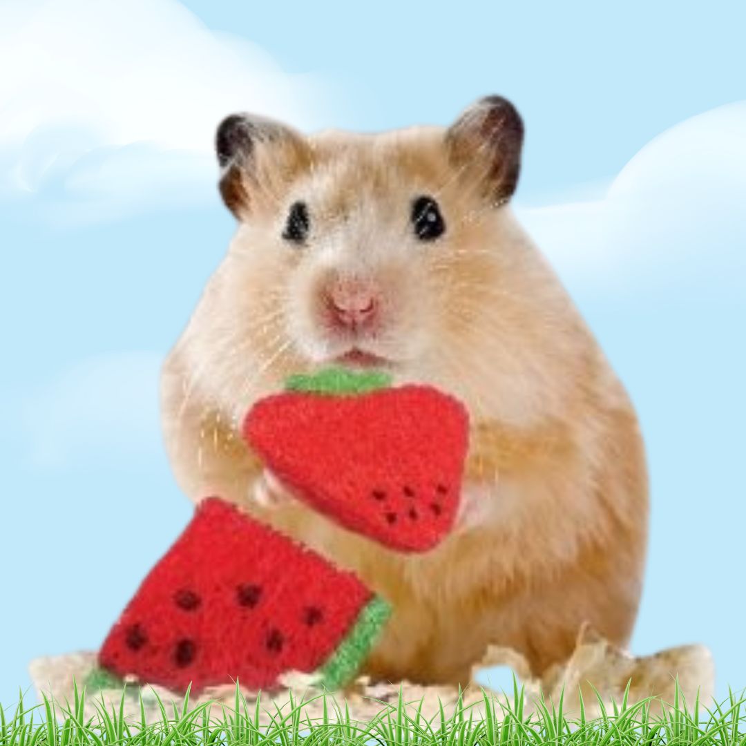 Nibbles Loofah Strawberry