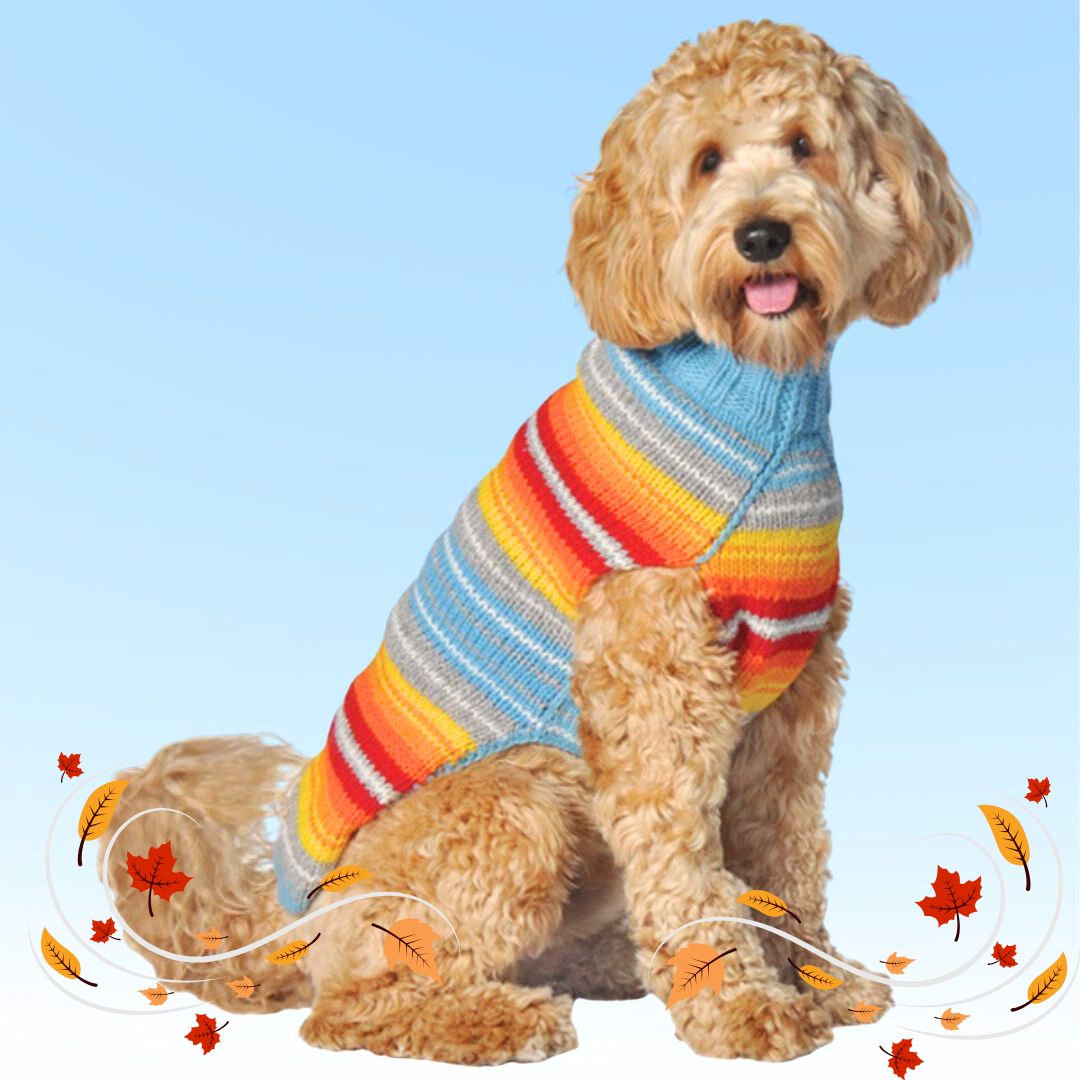 Chilly Dog Serape Dog Sweater