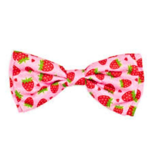 Worthy Dog Strawberries Bow Tie.