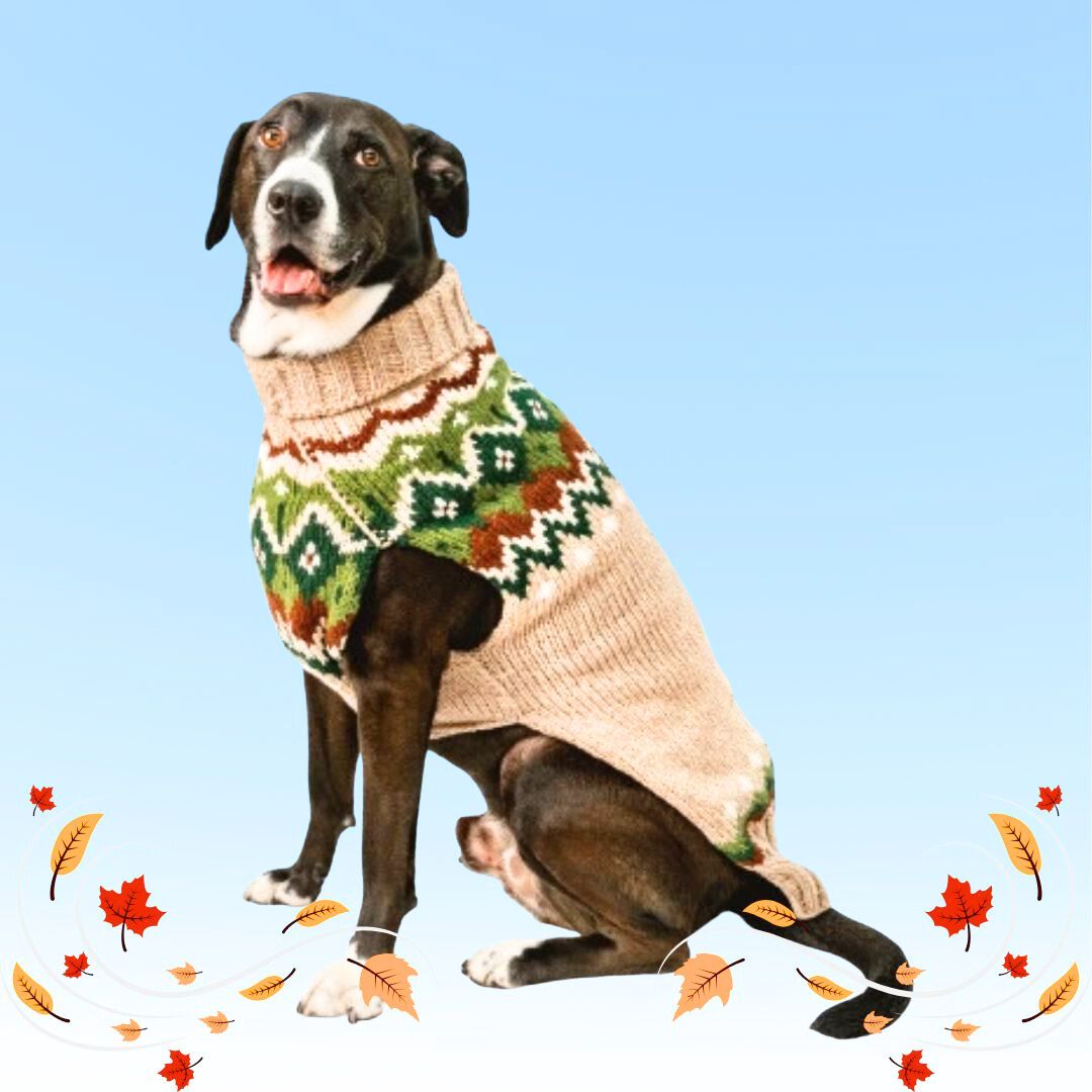 Chilly Dog Ragg Wool Fair Isle Sweater