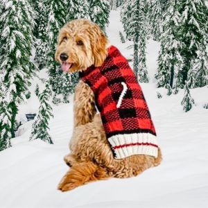 Chilly Dog Buffalo Plaid