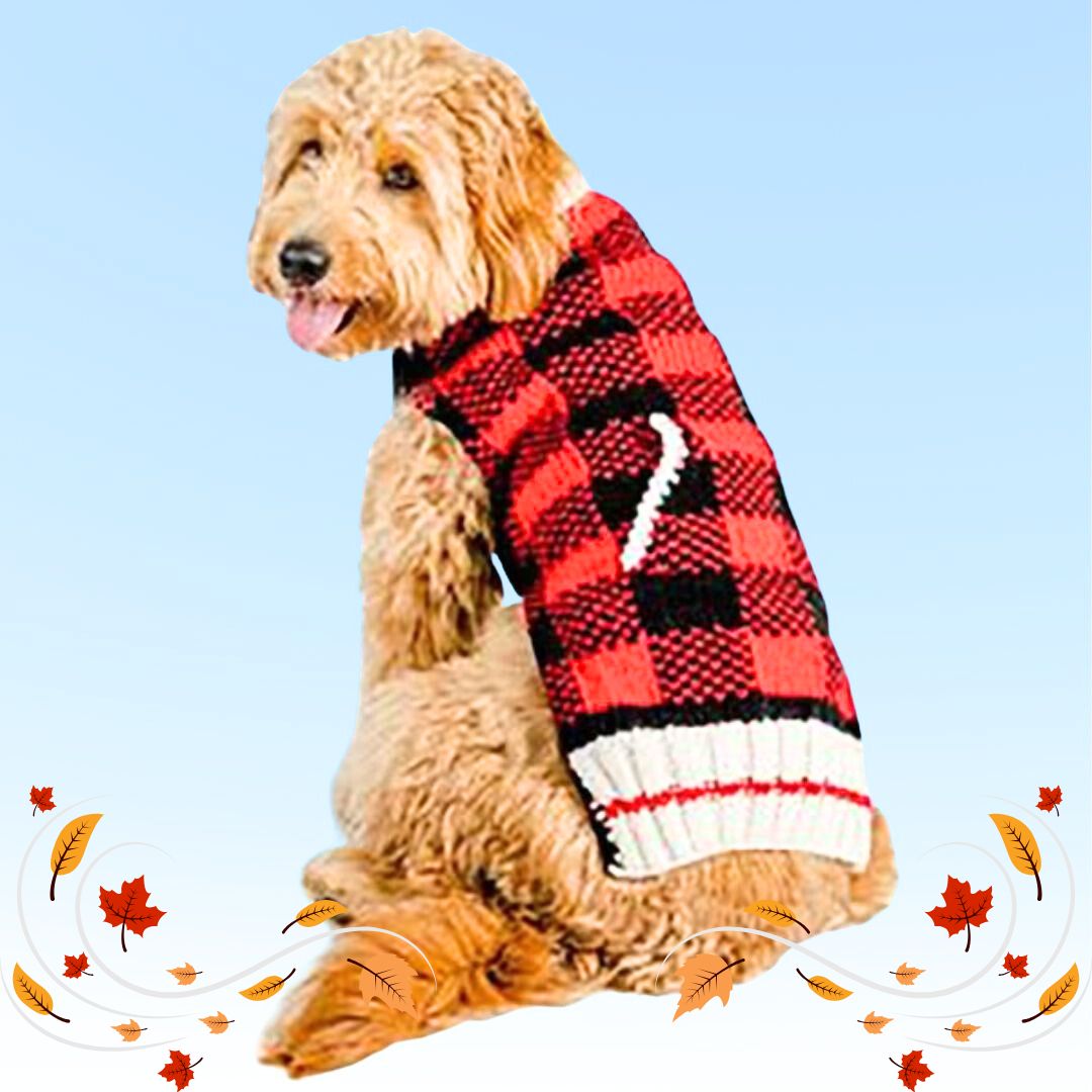Chilly Dog Buffalo Plaid Dog Sweater