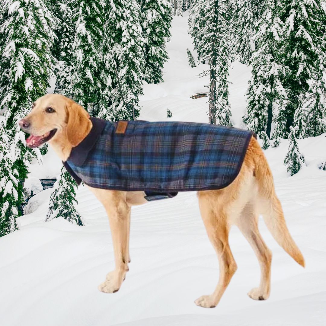 Pendleton Crescent Lake Blue Classic Dog Coat