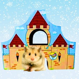 Play n Shapes Medium