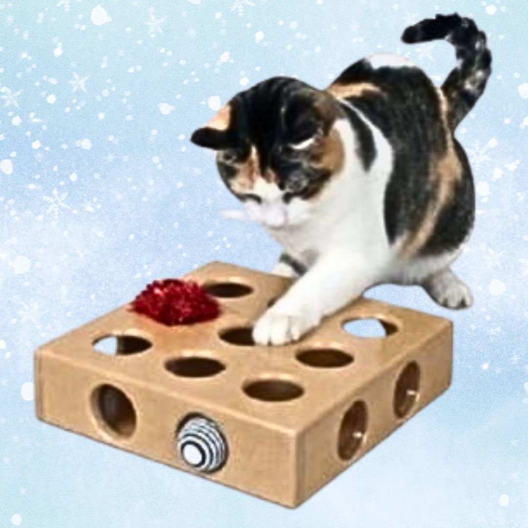 SmartCat Peek And Play Box