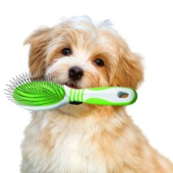 Andis Grooming Pin Brush