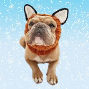 Fox Zoo Snood