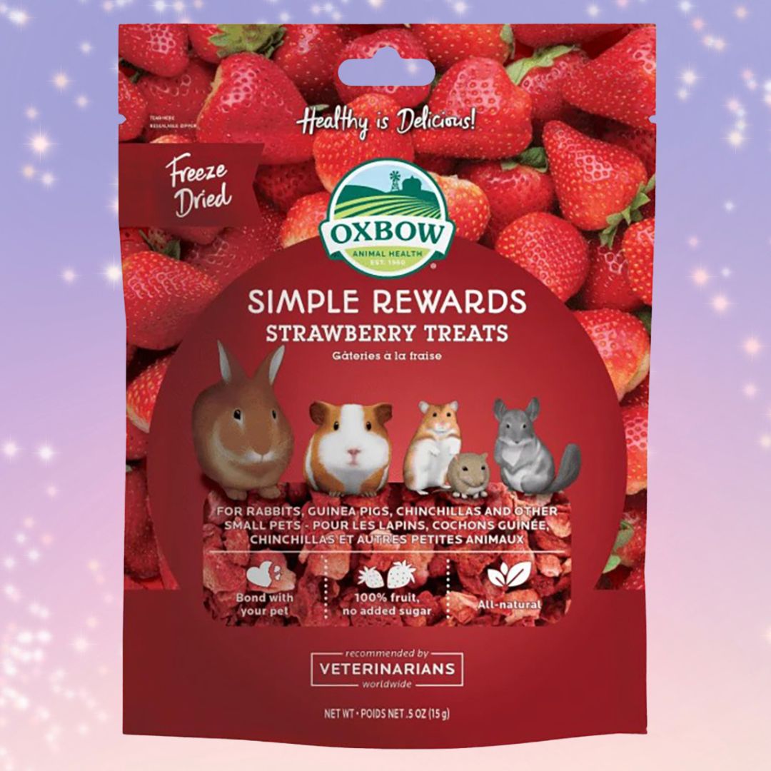 Oxbow Simple Rewards Strawberry Treats