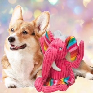 Hugglehounds Rainbow Elephant Knottie Dog Toy