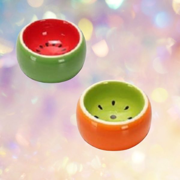 Small Pets Ceramic Fruit Food Bowls