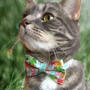 Made by Cleo Marigolds and Mint Bow Tie Cat Collar