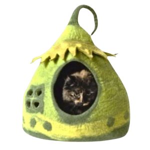 Dharma Dog Karma Kat