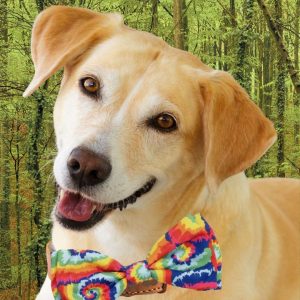 Worthy Dog Kaleidoscope