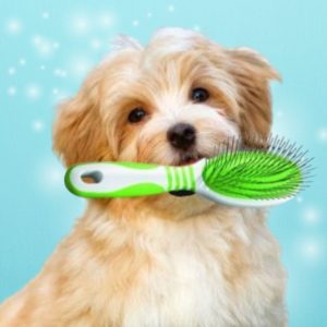 Andis Grooming Pin Brush