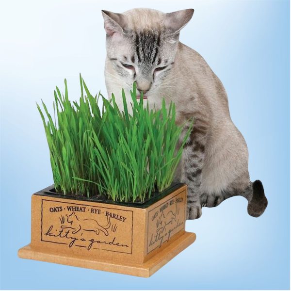Pioneer Pet Kitty’s Garden