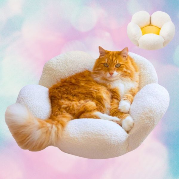 Catstages Purrfect Petals