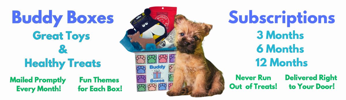 Buddy Boxes Banner 2025