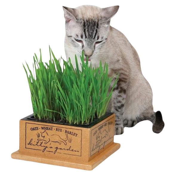 Pioneer Pet Kitty’s Garden