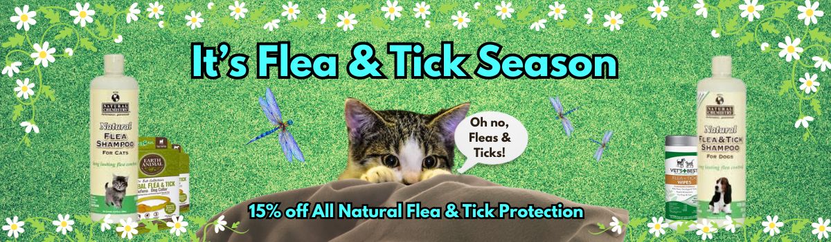June 2025 Flea & Tick