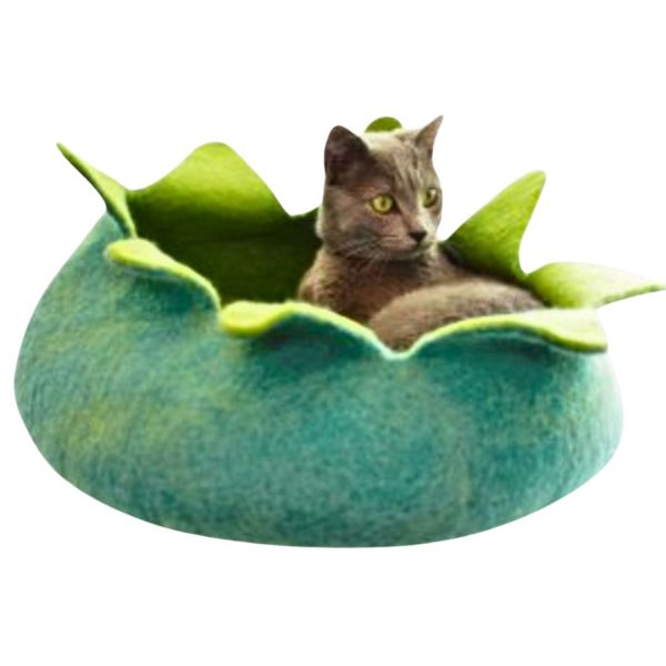 Dharma Dog Karma Cat
