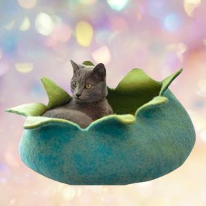 Dharma Dog Karma Cat