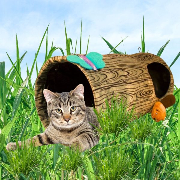 Kong Playspaces Burrow Cat