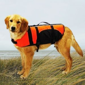 Guardian Gear Aquatic Dog Pet Preserver