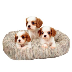 Bowser Bed Performance Chenille