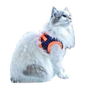 Catspia Cora Orange Cat