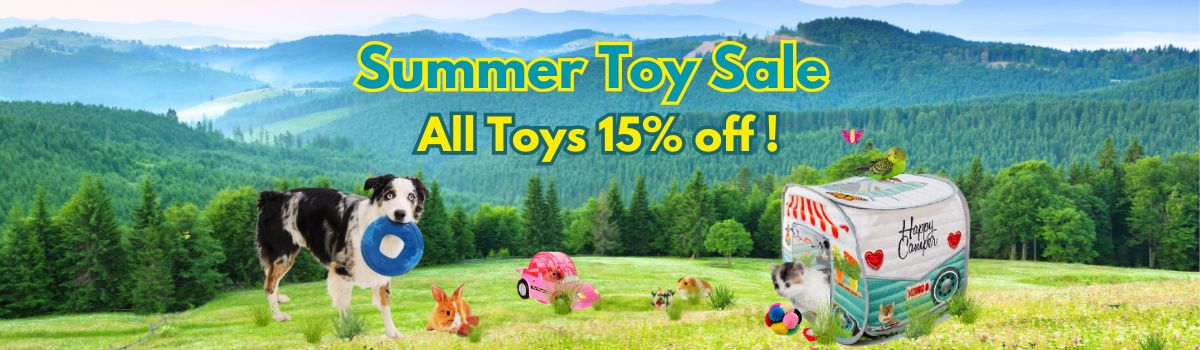 2025 Summer Toy Sale