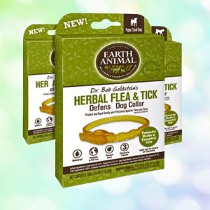 Earth Animal Natural