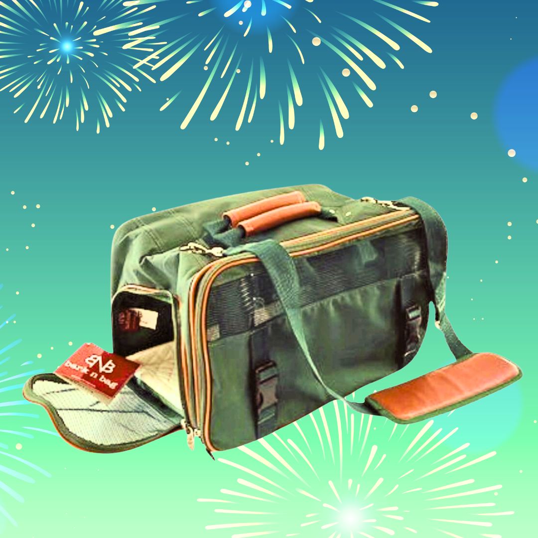 Bark N Bag Green Pet Carrier