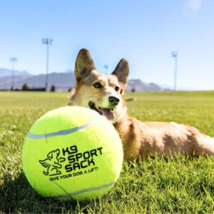 K9 Sports Too Big