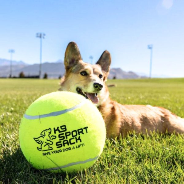 K9 Sports Too Big