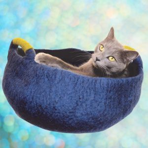 Dharma Dog Karma Cat