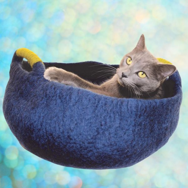 Dharma Dog Karma Cat