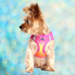 Doggie Design American River Ombre Choke Free Raspberry Pink Dog Harness