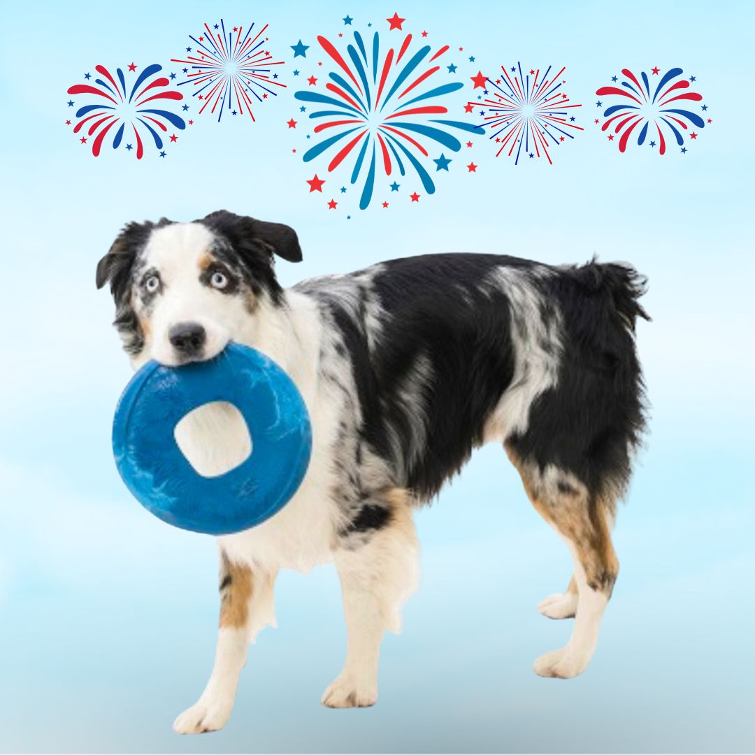 West Paw Sailz Seaflex Flyers Dog Toy
