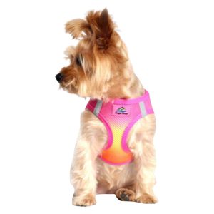 Doggie Design American River Ombre Choke Free Raspberry Pink Dog Harness