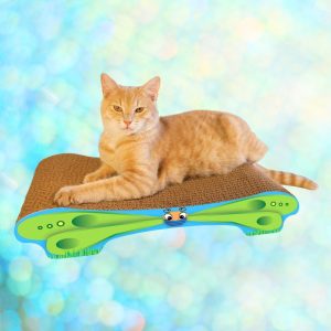 Imperial Cat Green Butterfly