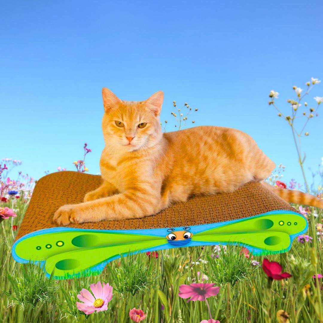 Imperial Cat Green Butterfly
