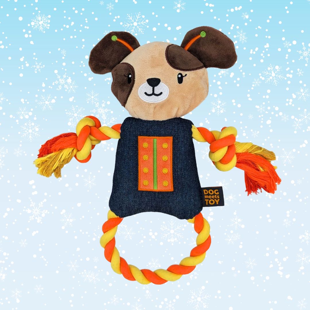 Dog Meets Toy Dog Robot