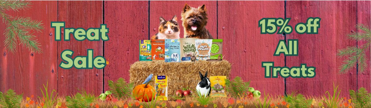 2025 Oct Treat Sale Banner