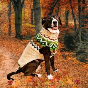 Chilly Dog Ragg
