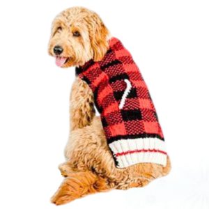 Chilly Dog Buffalo Plaid