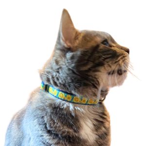 Up Country Bright Sunflower