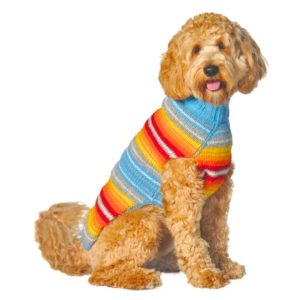 Chilly Dog Serape